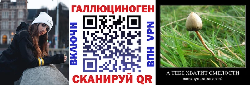 Купить где  Семилуки  Псилоцибиновые грибы Cubensis 